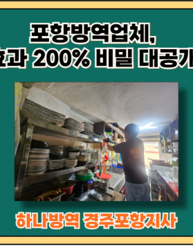 포항방역업체, 효과 200% 비밀 대…