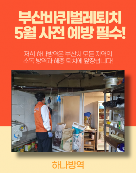 부산바퀴벌레퇴치 5월 사전 예방 필수…